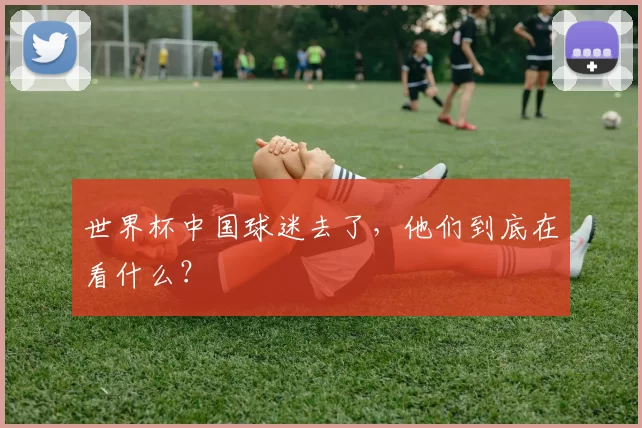 世界杯中国球迷去了，他们到底在看什么？