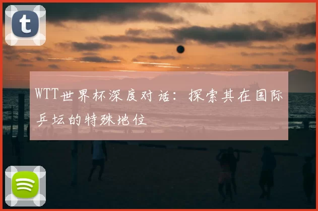 WTT世界杯深度对话:探索其在国际乒坛的特殊地位