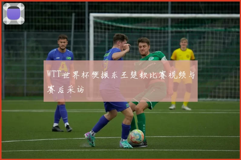 WTT世界杯樊振东王楚钦比赛视频与赛后采访