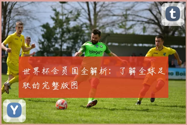 世界杯会员国全解析：了解全球足联的完整版图