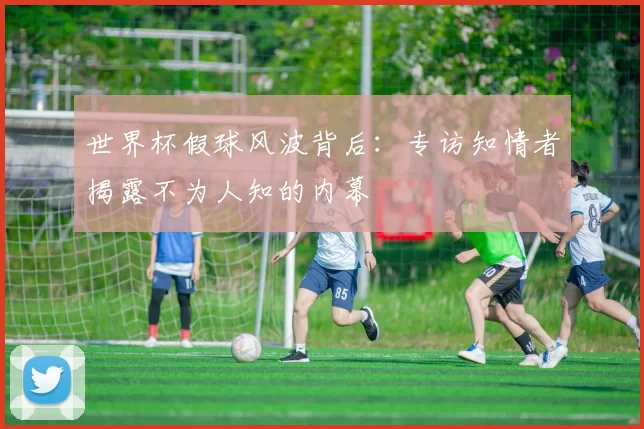 世界杯假球风波背后:专访知情者揭露不为人知的内幕