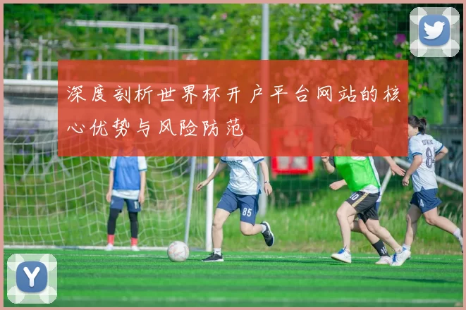 深度剖析世界杯开户平台网站的核心优势与风险防范
