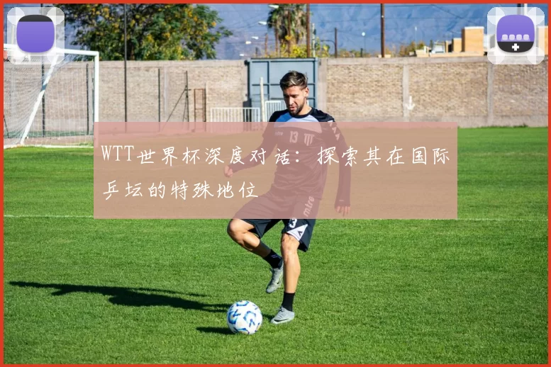 WTT世界杯深度对话：探索其在国际乒坛的特殊地位
