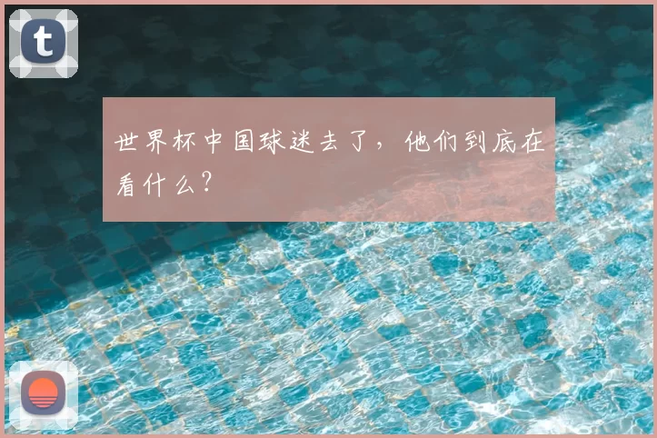世界杯中国球迷去了，他们到底在看什么？