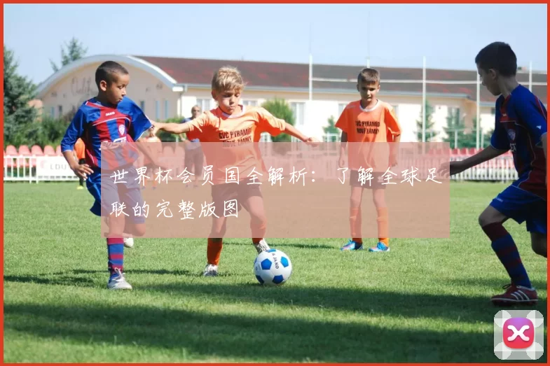 世界杯会员国全解析：了解全球足联的完整版图