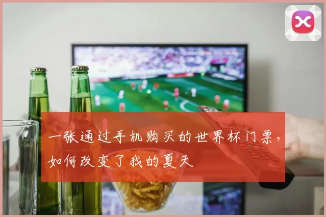 一张通过手机购买的世界杯门票，如何改变了我的夏天