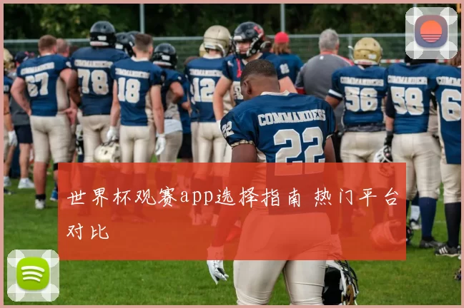 世界杯观赛app选择指南 热门平台对比