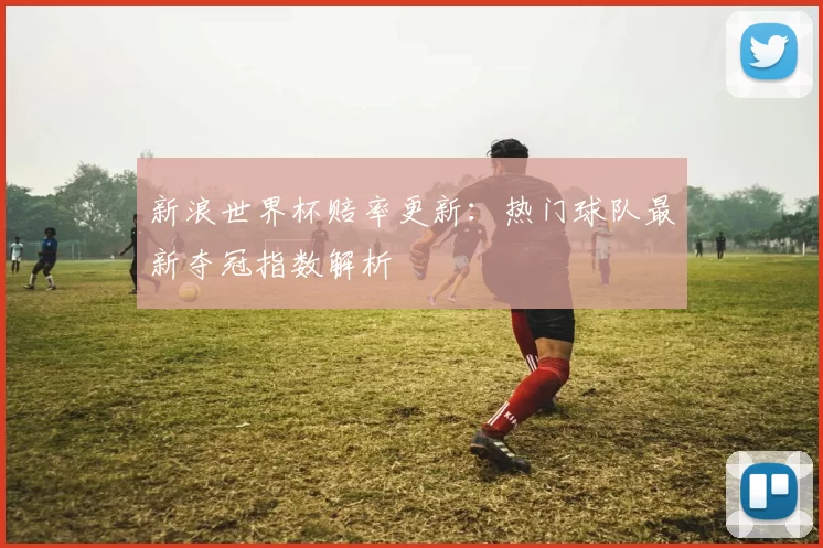 新浪世界杯赔率更新:热门球队最新夺冠指数解析