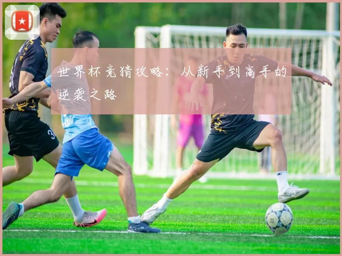 世界杯竞猜攻略:从新手到高手的逆袭之路