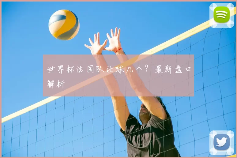 世界杯法国队让球几个?最新盘口解析