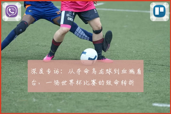 深度专访：从夺命乌龙球到血溅看台，一场世界杯比赛的致命转折