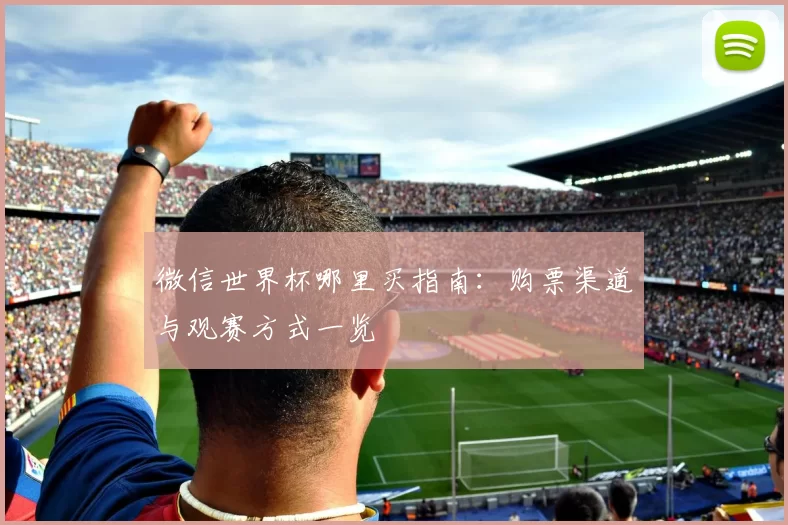 微信世界杯哪里买指南：购票渠道与观赛方式一览