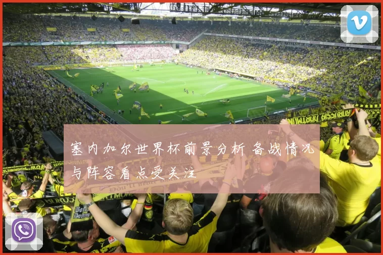 塞内加尔世界杯前景分析 备战情况与阵容看点受关注