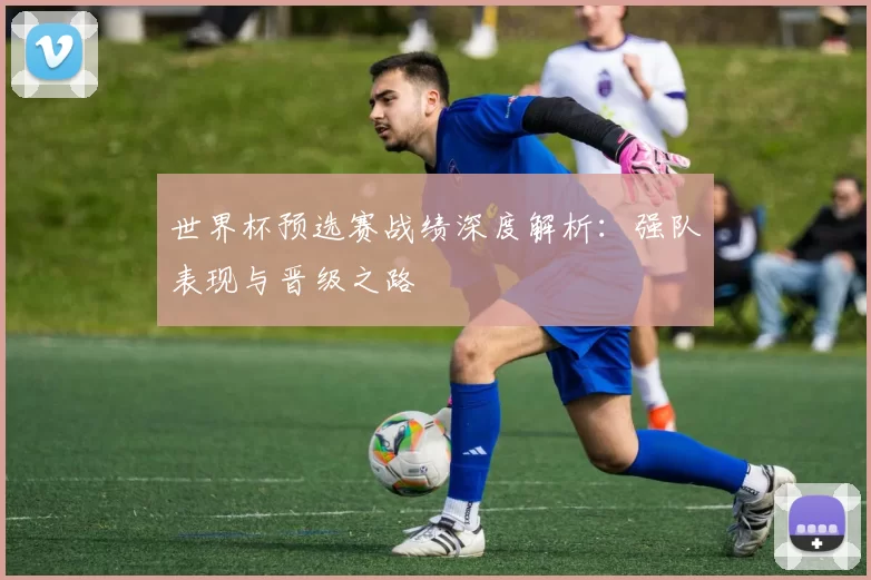 世界杯预选赛战绩深度解析：强队表现与晋级之路