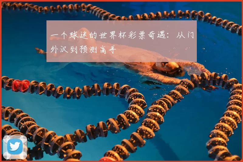 一个球迷的世界杯彩票奇遇：从门外汉到预测高手