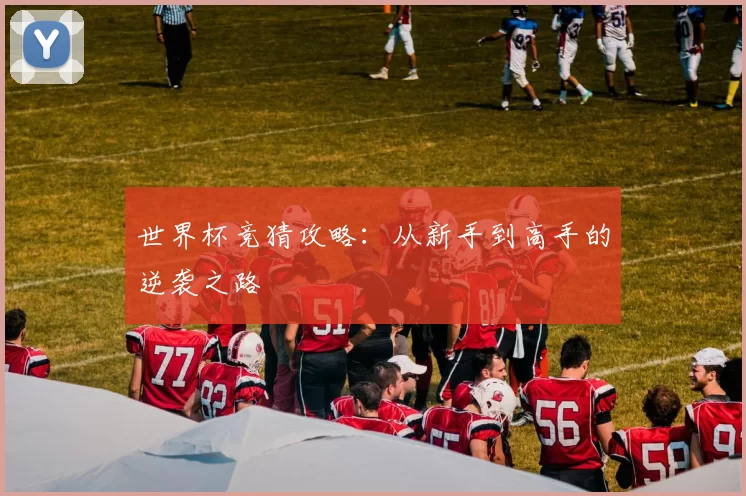 世界杯竞猜攻略:从新手到高手的逆袭之路