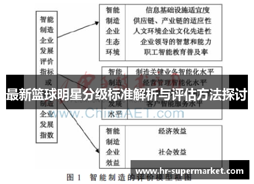 最新篮球明星分级标准解析与评估方法探讨